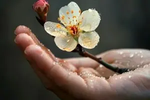 لحظه تحویل سال 1405