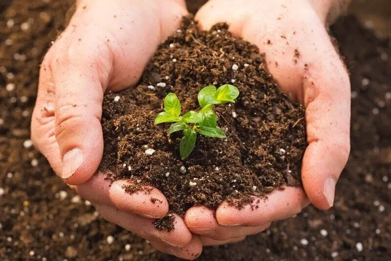 سرنوشت خاک‌های آلوده پس از حادثه اتمی نیروگاه فوکوشیما چه شد؟