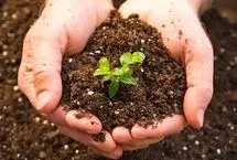 سرنوشت خاک‌های آلوده پس از حادثه اتمی نیروگاه فوکوشیما چه شد؟