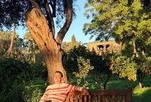 مدال طلای المپیاد جهانی ریاضی به هوش مصنوعی رسید!