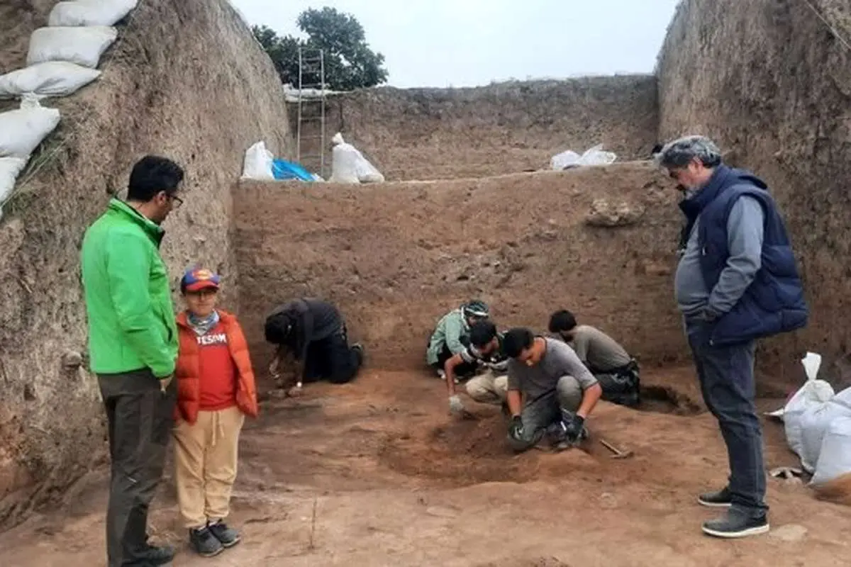 شکفتن دانه برنج ۳۰۰۰ ساله از کاوش لایه‌نگاری محوطه باستانی قلعه‌کِش آمل