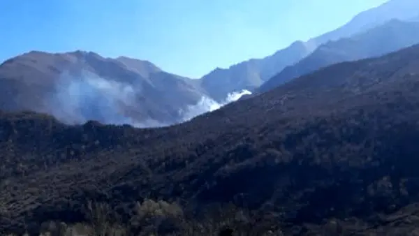 آتش‌سوزی در جنگل‌های صعب‌العبور چالوس