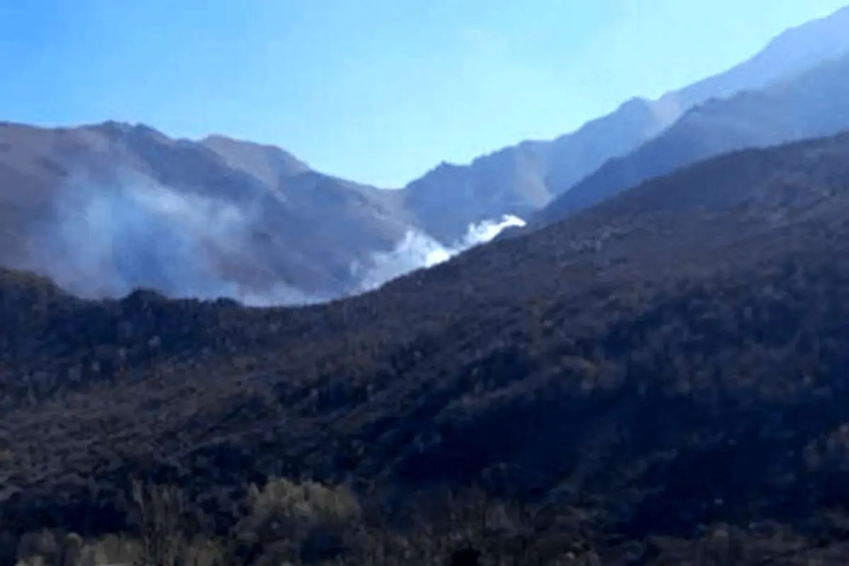 آتشسوزی در جنگلهای صعبالعبور چالوس