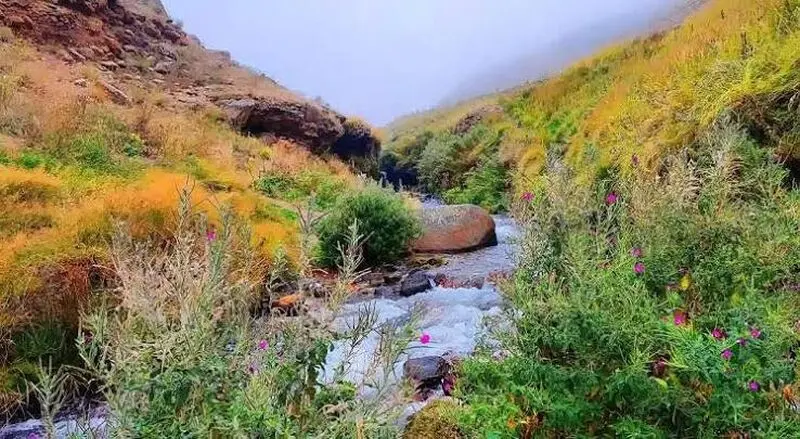 گردشگری
