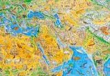 تصاویر؛ شاهکار دست‌کشیده از سیاره‌ای بدون سیاست، فقط حیات وحش
