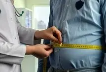 شکم بزرگ، مغز ضعیف!