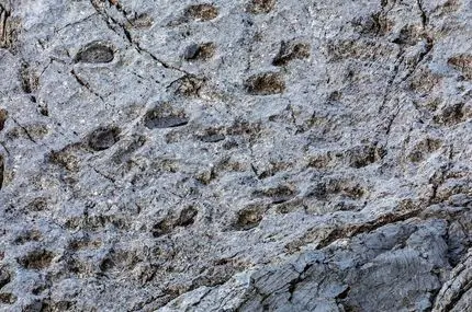 کشف هزاران ردپای دایناسور در شمال ایتالیا