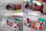 تولد نادر چهارقلوهای کاملاً همسان؛ رخدادی با احتمال یک در ۱۵ میلیون