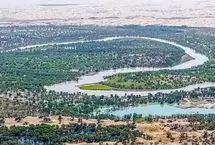 پشت پرده کاشت ۶۶ میلیارد درخت در حاشیه بیابان‌های چین