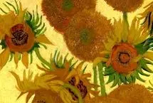 آفتابگردان‌های «ون‌گوگ» به‌هم می‌رسند
