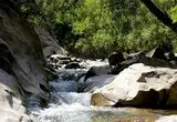چال ماهی تهران کجاست؟