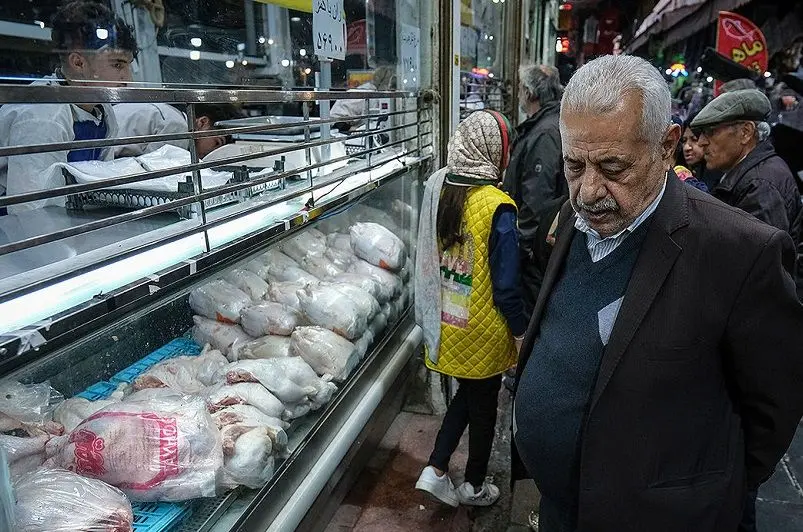 قطع برق، مرغ را گران کرد!