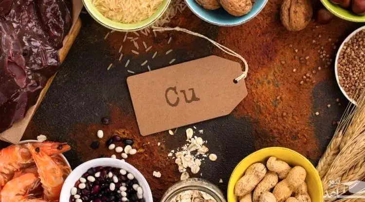 خوردنی‌های سرشار از ماده معدنی مس
