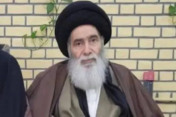 آیت الله هادی سیستانی درگذشت