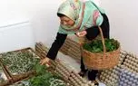 شرط دریافت وام ۴ میلیارد تومانی مشاغل خانگی