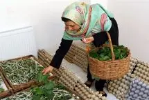 شرط دریافت وام 4 میلیارد تومانی مشاغل خانگی