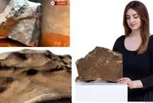 ببینید؛ ماجرای شهاب‌سنگ مریخی رکوردشکن با قیمت ۴ میلیون دلار!