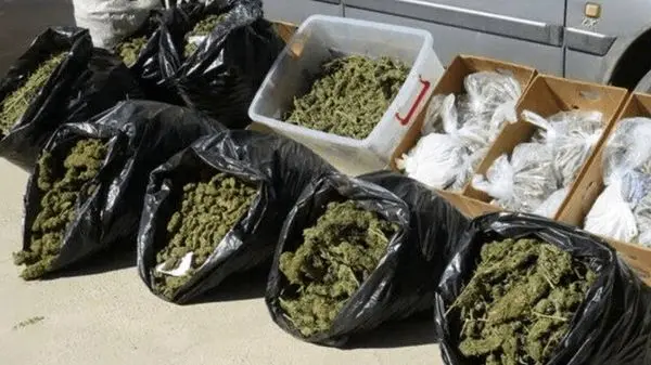 کشف بزرگترین محموله ماریجوانای سال در تهران