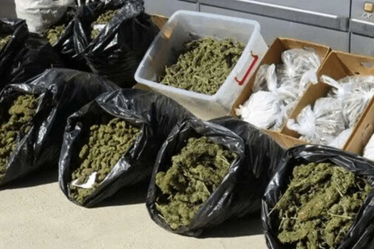 کشف بزرگترین محموله ماریجوانای سال در تهران