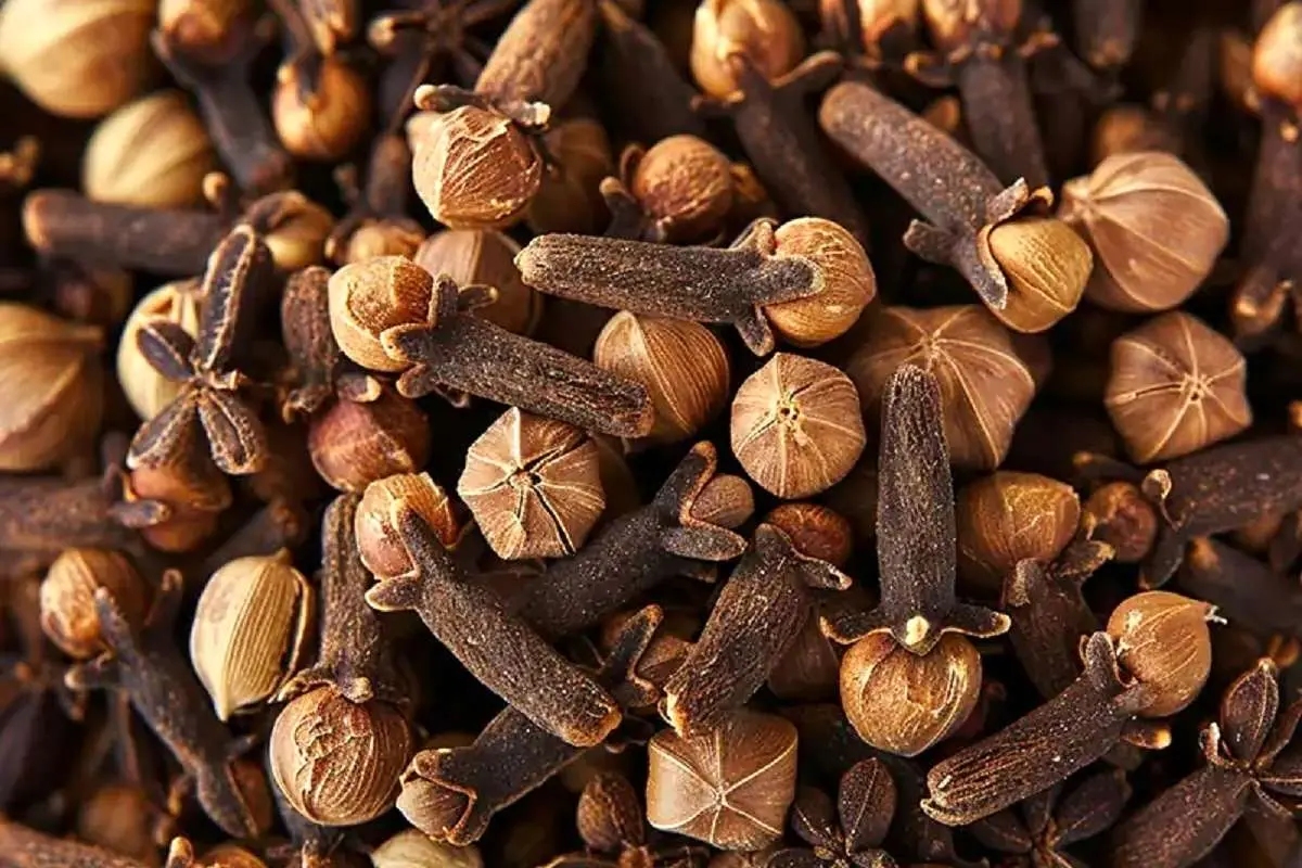 خواص شگفت انگیز میخک برای سلامت معده و گوارش