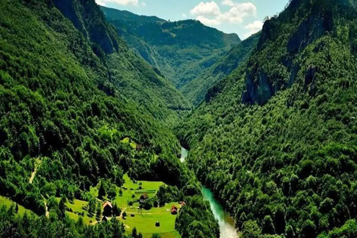 جنگل هیرکانی قدیمی‌تر است یا هیمالیا؟