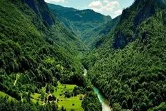 جنگل هیرکانی قدیمی‌تر است یا هیمالیا؟