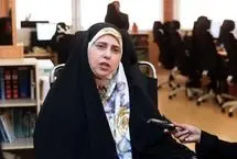 خانم‌های مجلس به مسائل حوزه زنان بیشتر نگاه سیاسی دارند تا اجتماعی