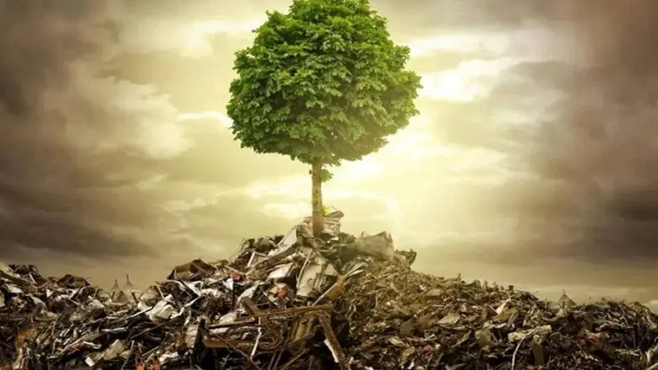 زمین‌کُشی؛ چهره خاموش جنگ