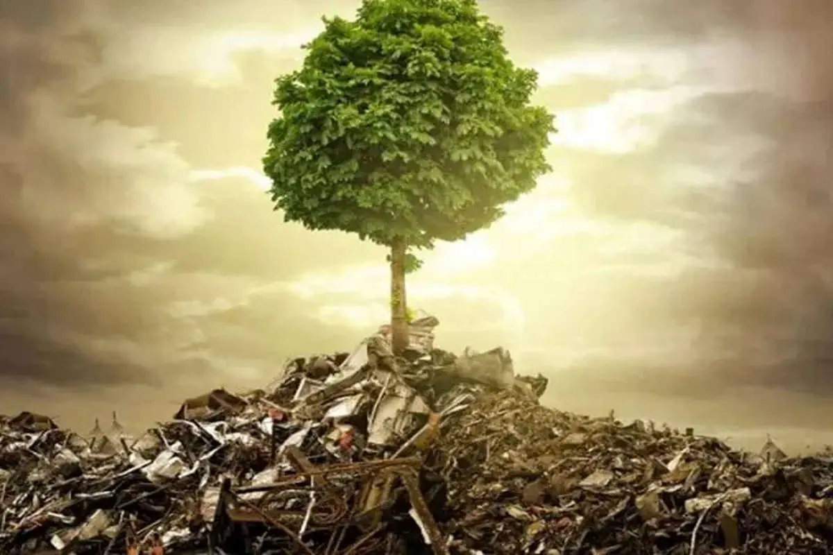 زمین‌کُشی؛ چهره خاموش جنگ