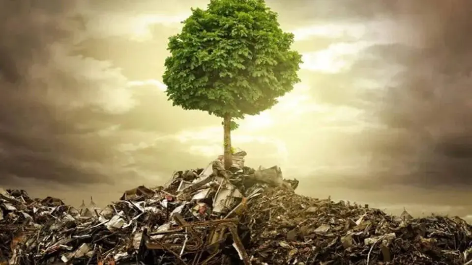 زمین‌کُشی؛ چهره خاموش جنگ