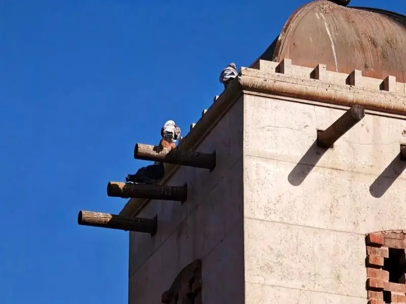 شیائومی 17 Pro Max 