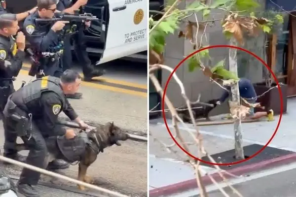 سگ پلیس مهاجم مسلح را زمین‌گیر کرد