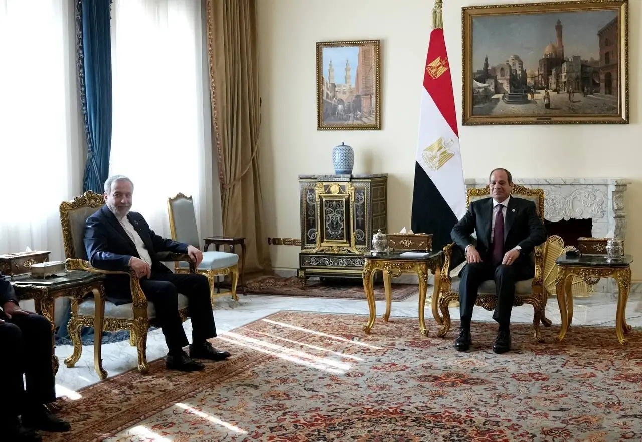 تصاویر؛ دیدار عراقچی با عبدالفتاح السیسی