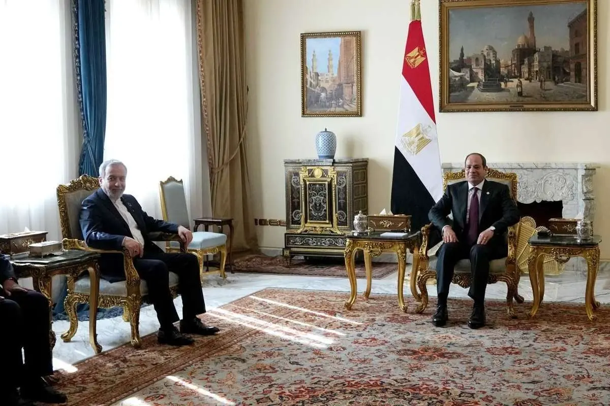 تصاویر؛ دیدار عراقچی با عبدالفتاح السیسی