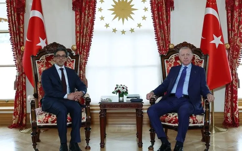 دیدار معاون رئیس امارات با اردوغان