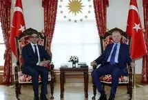 دیدار معاون رئیس امارات با اردوغان