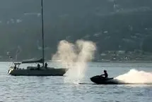 برخورد هولناک جت‌اسکی با نهنگ عظیم‌الجثه 

