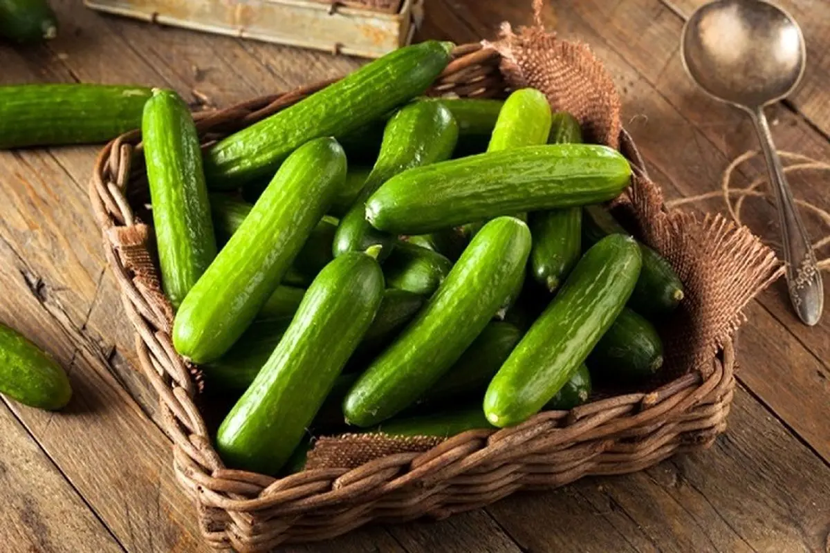 خواص شگفت انگیز خیار برای سلامت بدن