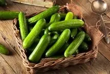 خواص شگفت انگیز خیار برای سلامت بدن