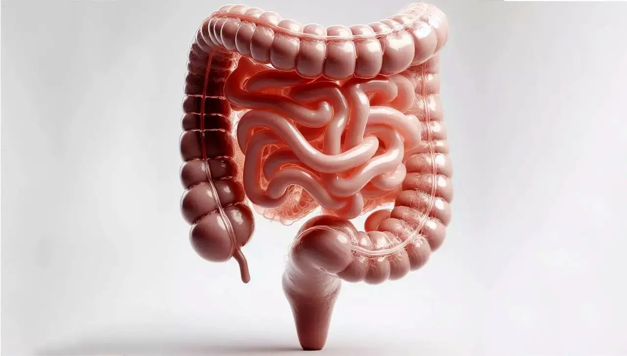 یک ترکیب ضدالتهابی قوی برای سلامت روده