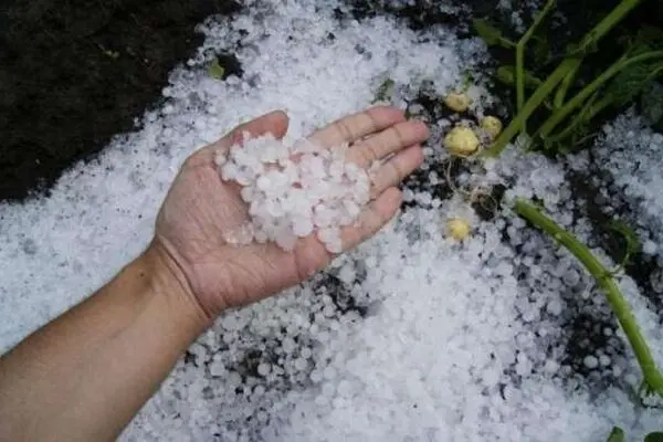 بارش شدید تگرگ در سراوان