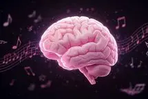 مغز چگونه ریتم موسیقی را درک می کند؟