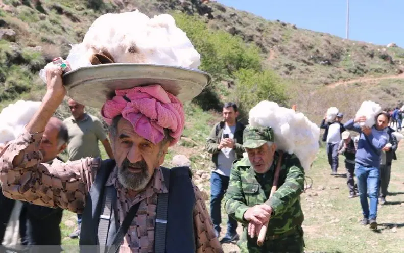 تصاویر؛ آیین ۶۰۰ ساله ورف چال روستای آب اسک آمل