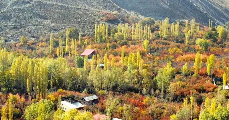 راهنمای طبیعت‌گردی محتاطانه؛ «میکروتراول»، جایگزین سفرهای دور/ ۳ مقصد نزدیک به تهران برای یک نفس تازه در روزهای پرتنش
