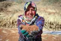 تصاویر؛ جاروبافی سنتی در خراسان شمالی؛ هنری همچنان زنده