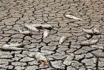 تصاویر؛ دریاچه پری به بیابان ترک‌خورده بدل شد