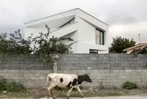 تصاویر؛ یک ویلای اقتصادی در روستای ناتل: تقدیر شده در جایزه معمار