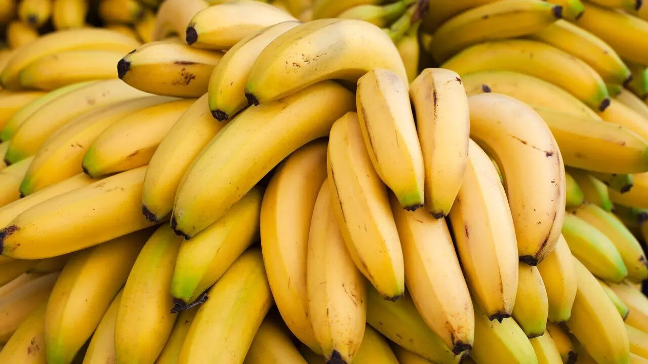 شرط و شروط گمرک برای واردات موز 
