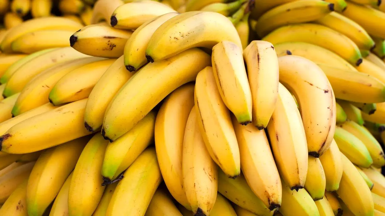 شرط و شروط گمرک برای واردات موز 