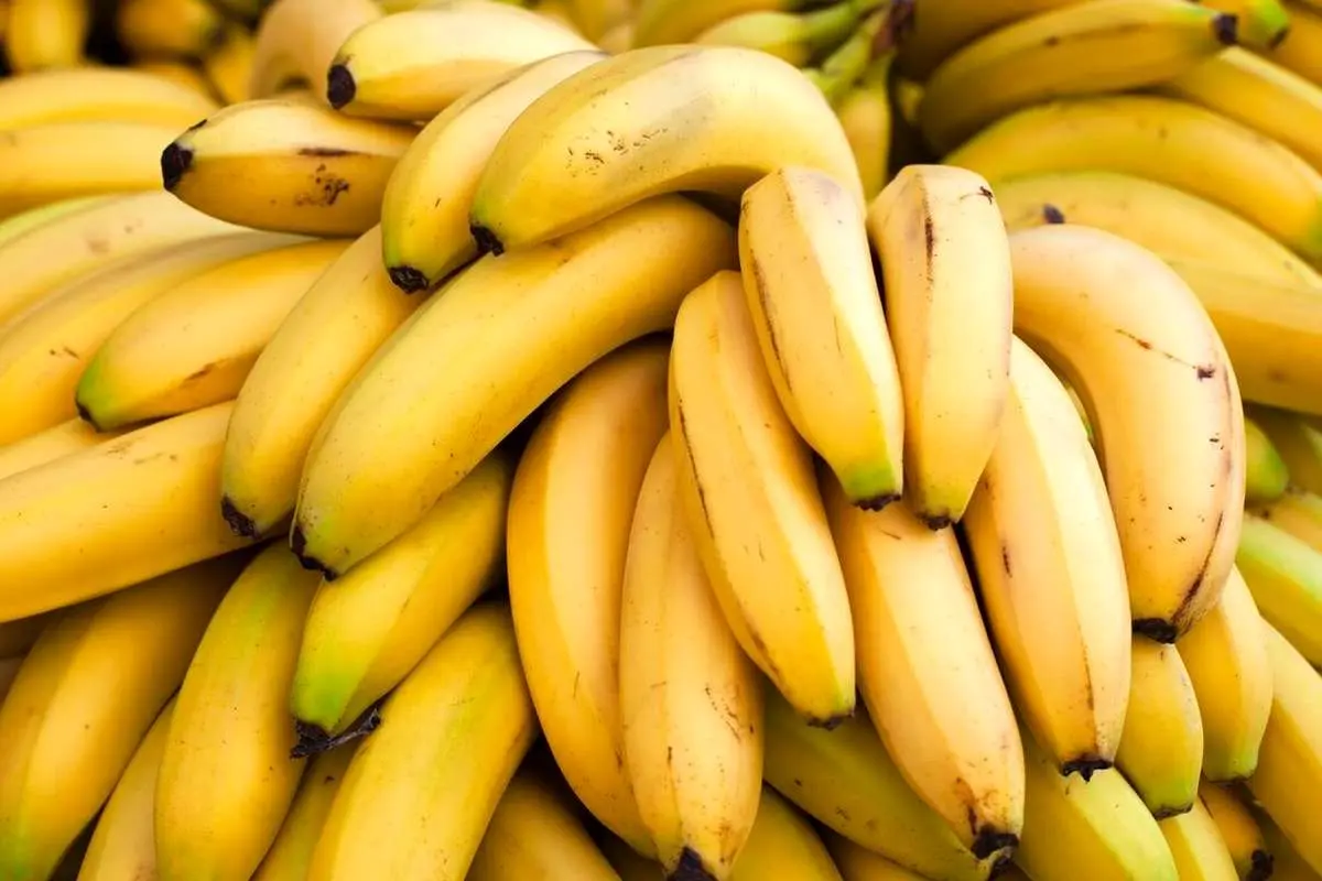 شرط و شروط گمرک برای واردات موز